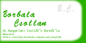 borbala csollan business card